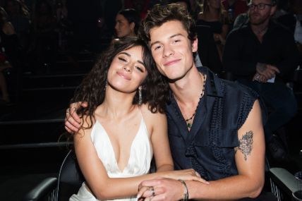 Camila Cabello and Shawn Mendes broke up recently.